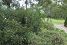 Osborne NSWresidential-landscaping-35.jpg; ?>