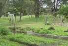 Osborne NSWresidential-landscaping-39.jpg; ?>
