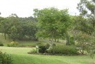 Osborne NSWresidential-landscaping-40.jpg; ?>